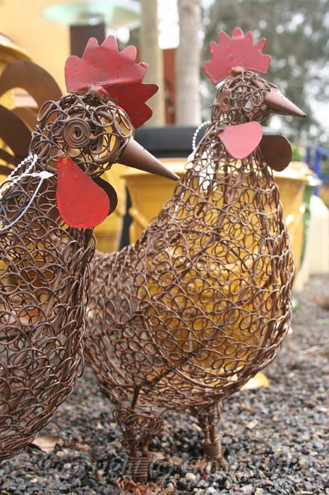 Chickens, Cloudehill Gardens IMG_6697.JPG